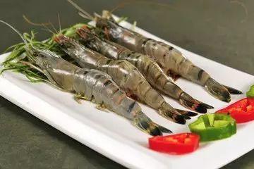 大虾养殖爆料图片大全视频,揭秘养殖爆料的图片与视频  第2张